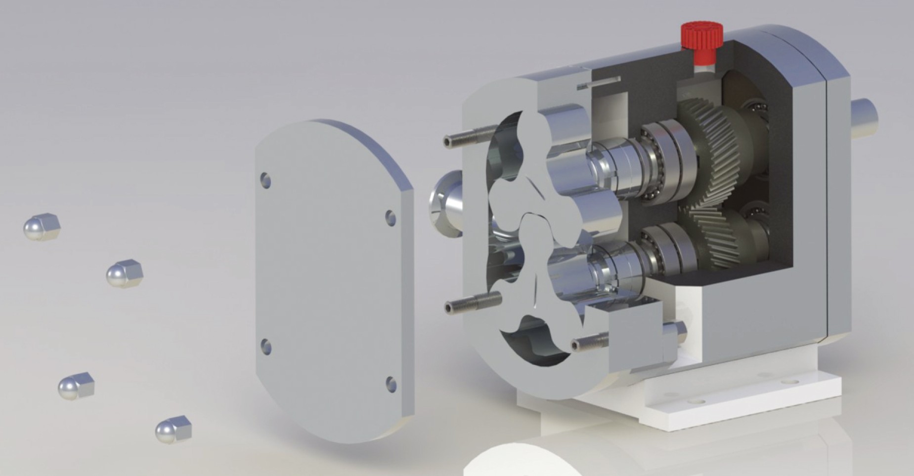 3D cutaway of tri-lobe rotary lobe pump