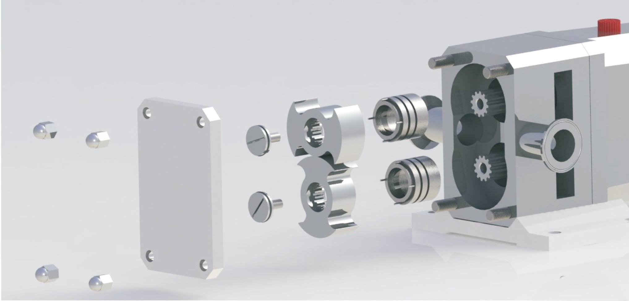 Exploded view of Bi-Wing Rotary Lobe Pump