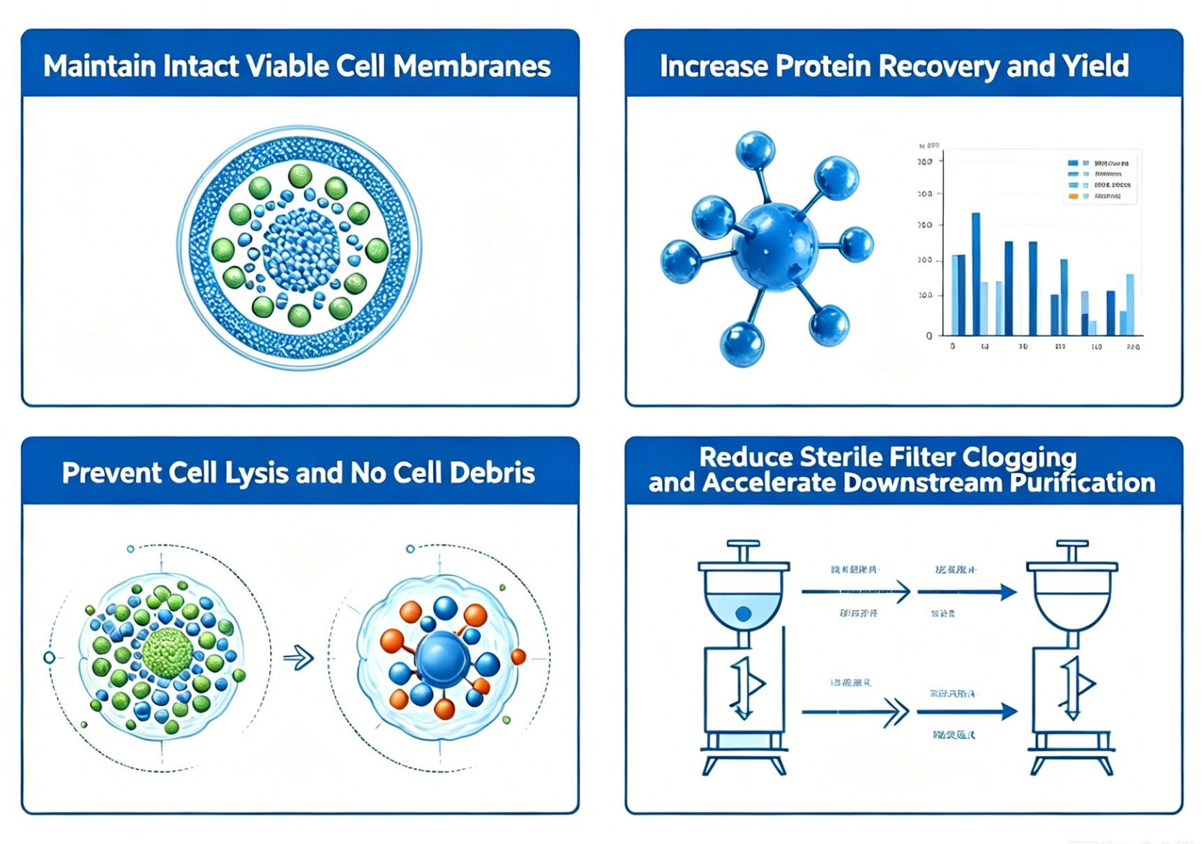 Why Low-Speed Rotary Lobe Pumps Are Essential for Bio-Manufacturing
